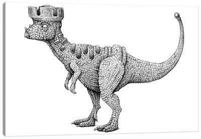 Cretaceous Rook Canvas Art Print - Tim Andraka