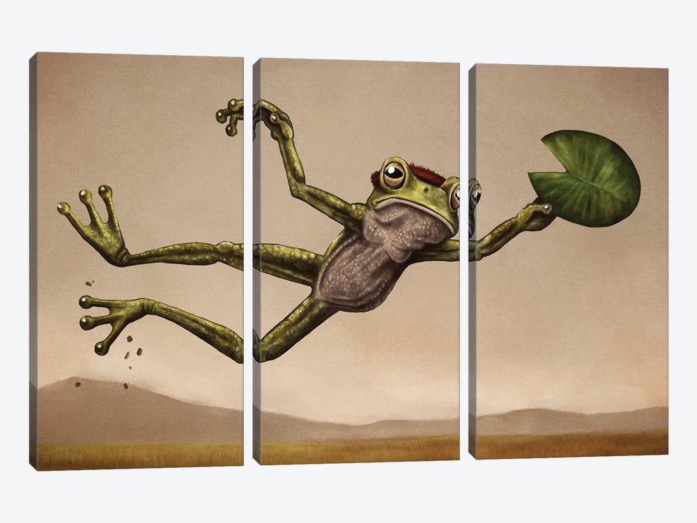Disc Frog by Tim Andraka 3-piece Canvas Wall Art