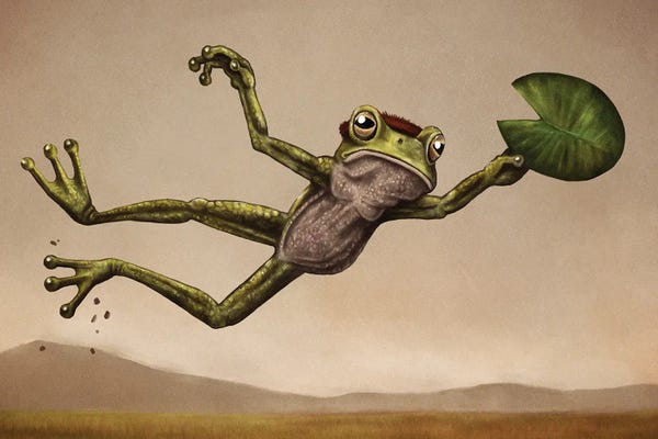 Frogs: Disc Frog by Tim Andraka