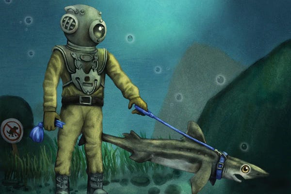 Nothing To See Here...: Dogfish by Tim Andraka