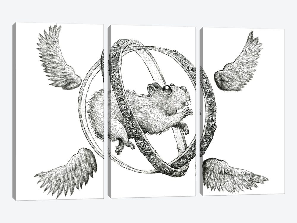 Angelic Hamster Wheel by Tim Andraka 3-piece Canvas Print