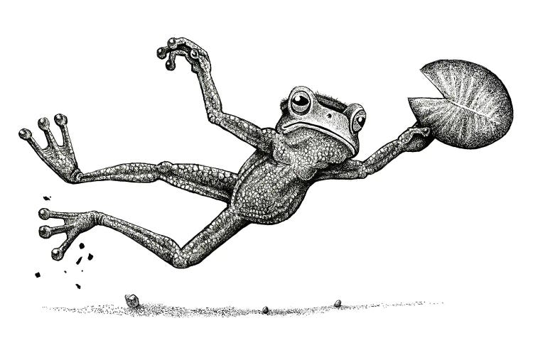 Disc Frog  - Black And White