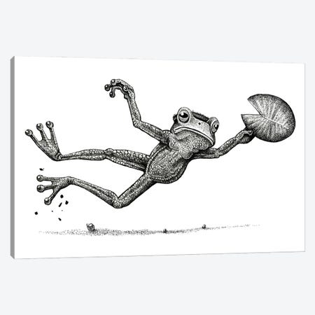 Disc Frog  - Black And White Canvas Print #TAK30} by Tim Andraka Canvas Wall Art