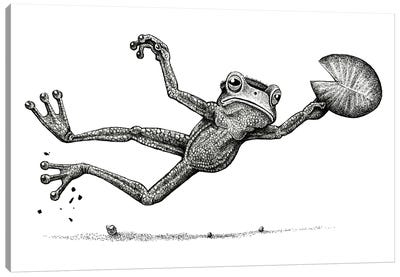 Disc Frog  - Black And White Canvas Art Print - Frogs