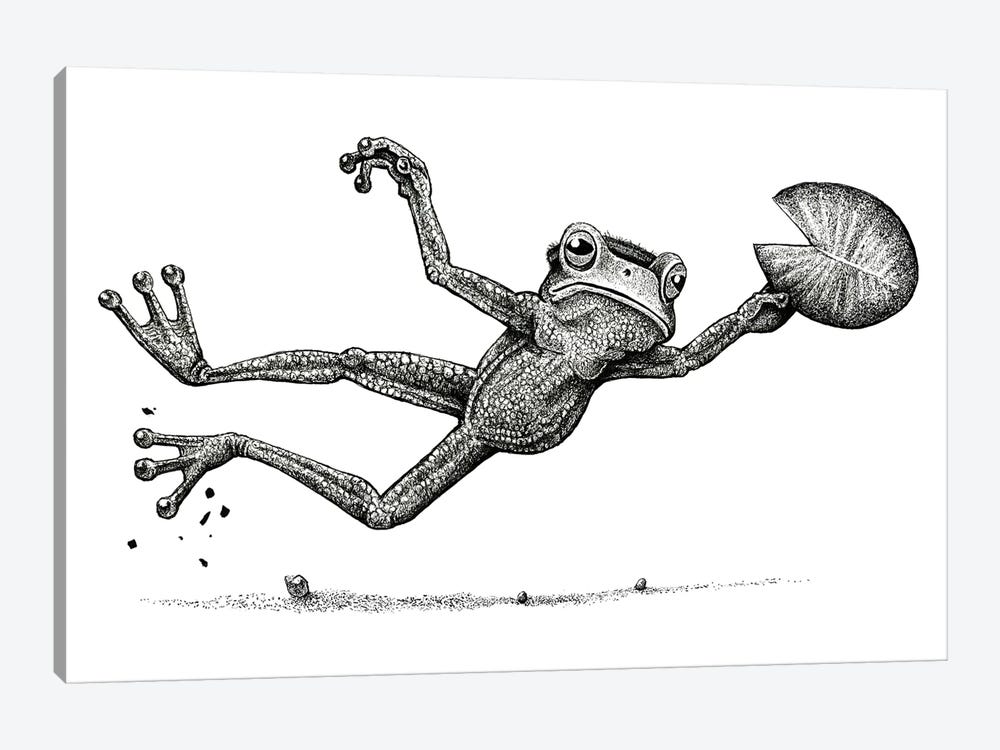 Disc Frog  - Black And White by Tim Andraka 1-piece Canvas Artwork