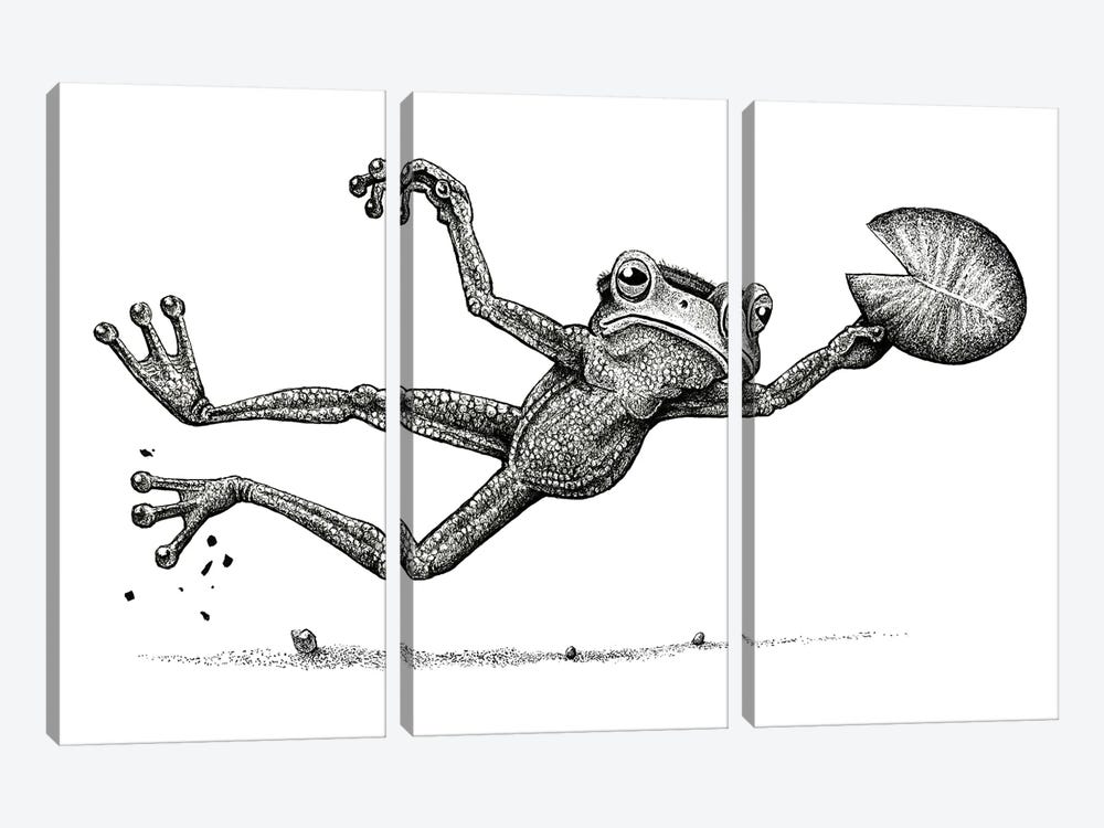 Disc Frog  - Black And White by Tim Andraka 3-piece Canvas Artwork