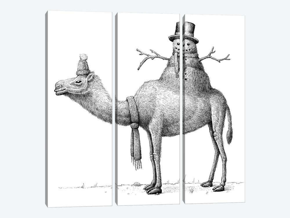 Festive Camel by Tim Andraka 3-piece Art Print