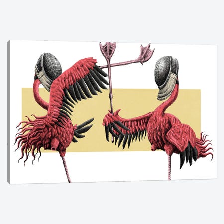 Flamingos Fencing Canvas Print #TAK34} by Tim Andraka Art Print