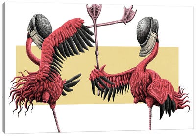 Flamingos Fencing Canvas Art Print - Tim Andraka