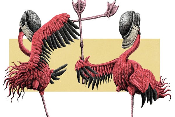 Flamingos: Flamingos Fencing by Tim Andraka
