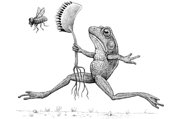 Black & White Drawings & Illustrations