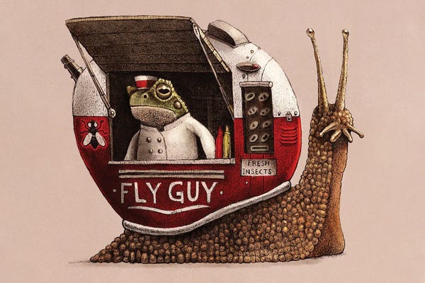 Flies