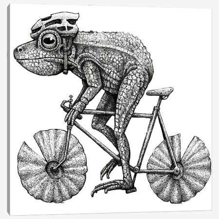 Frog Cyclist - Black And White Canvas Print #TAK38} by Tim Andraka Canvas Artwork
