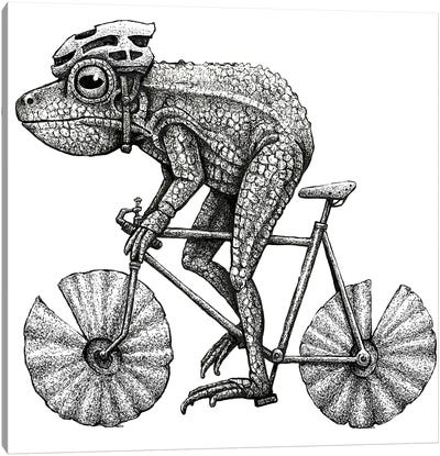 Frog Cyclist - Black And White Canvas Art Print - Sporty Dad