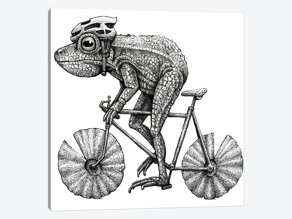 Frog Cyclist - Black And White by Tim Andraka 1-piece Canvas Wall Art