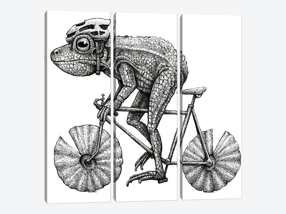 Frog Cyclist - Black And White by Tim Andraka 3-piece Canvas Artwork