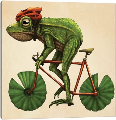 Frog Cyclist Canvas Art Print - Reptile & Amphibian Art