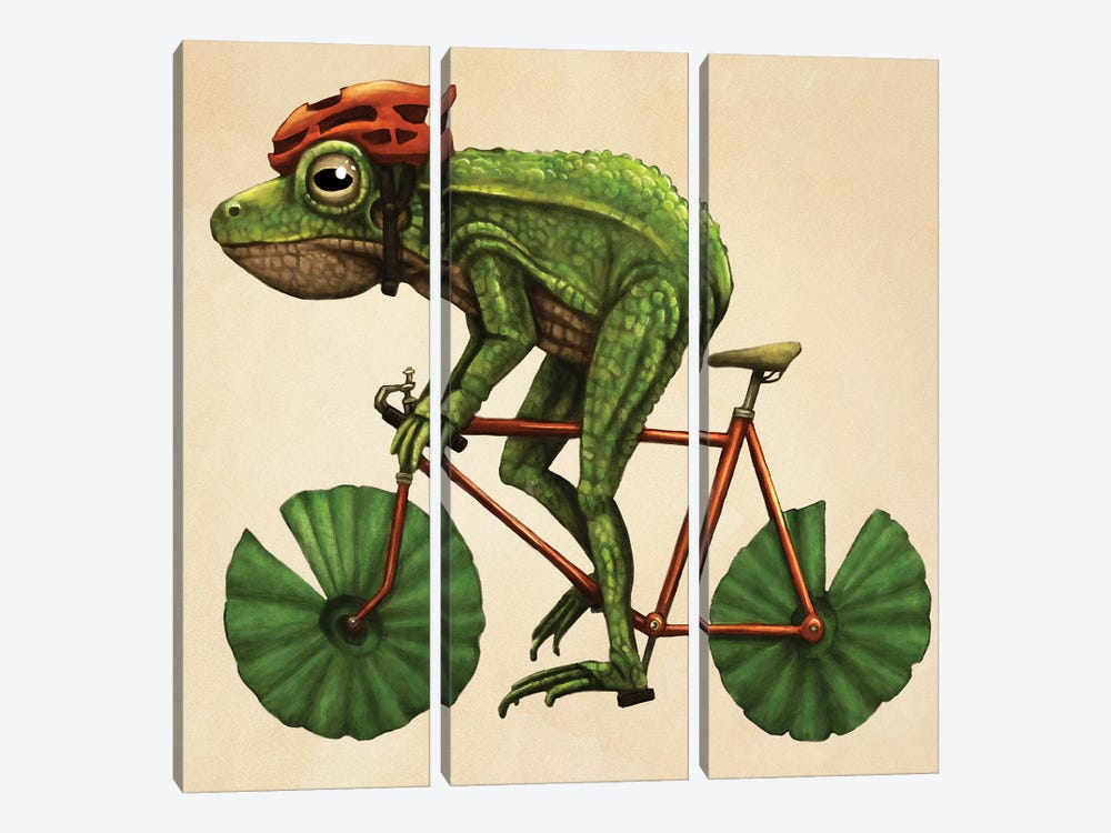Frog Cyclist by Tim Andraka 3-piece Canvas Print