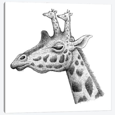 Giraffe Ossicones Canvas Print #TAK42} by Tim Andraka Canvas Art Print