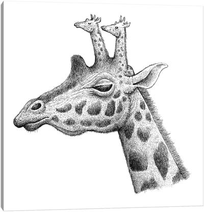 Giraffe Ossicones Canvas Art Print - Tim Andraka