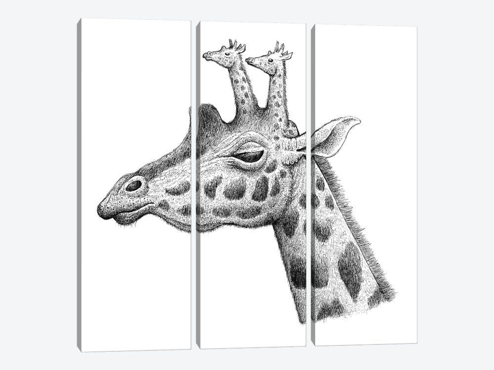 Giraffe Ossicones by Tim Andraka 3-piece Canvas Art Print