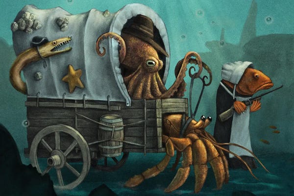 Octopi