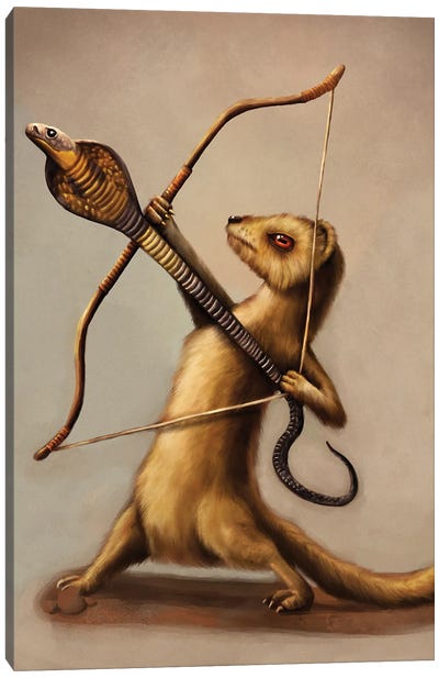 Mongoose Assassin Canvas Art Print - Snake Art