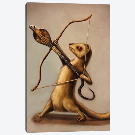 Mongoose Assassin Canvas Print #TAK51} by Tim Andraka Canvas Art