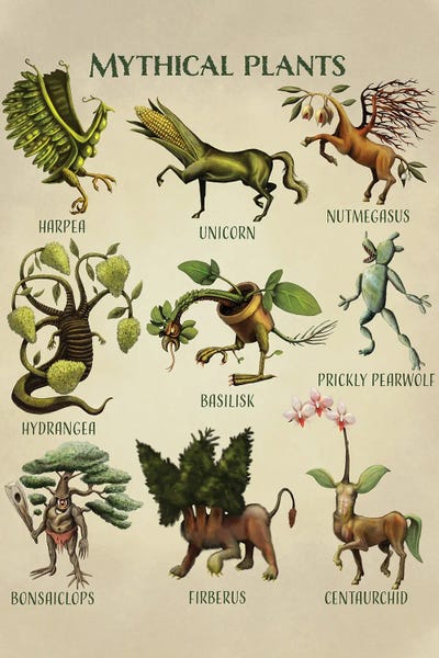 Mythical Plants by Tim Andraka art print
