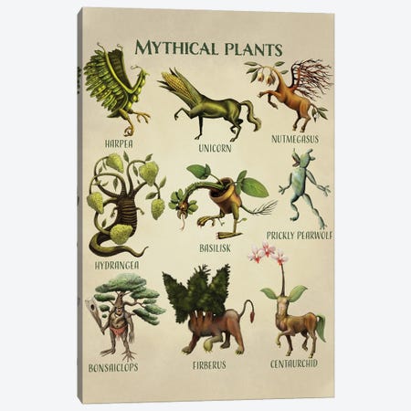 Mythical Plants Canvas Print #TAK52} by Tim Andraka Canvas Wall Art