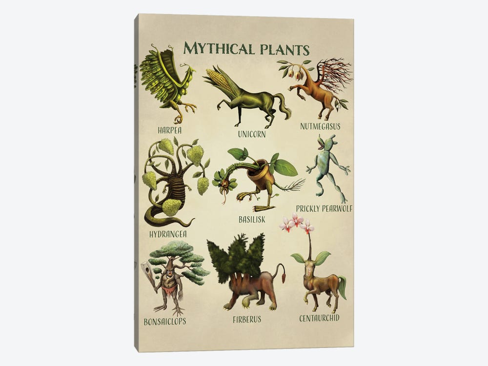 Mythical Plants by Tim Andraka 1-piece Canvas Art