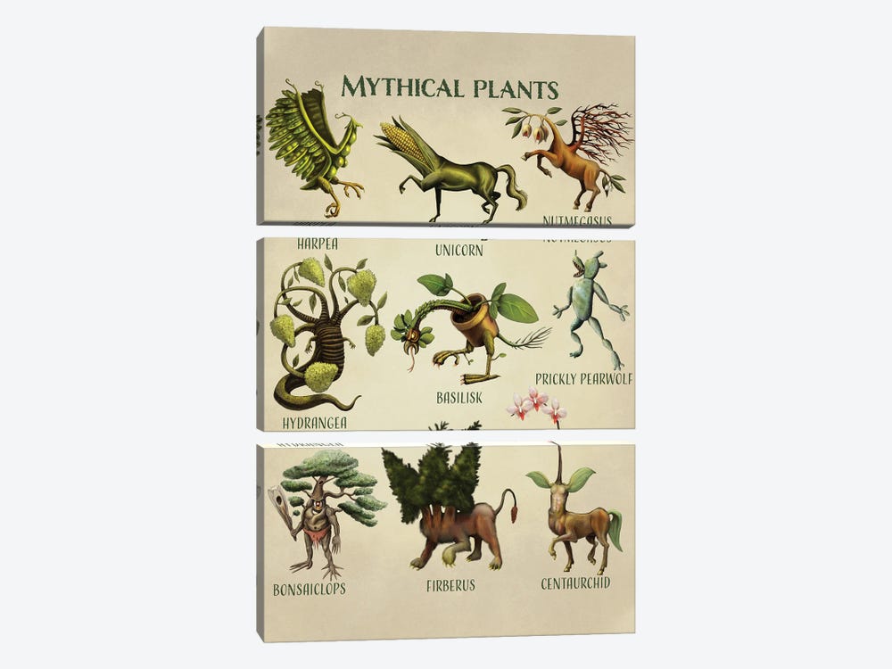 Mythical Plants by Tim Andraka 3-piece Canvas Artwork