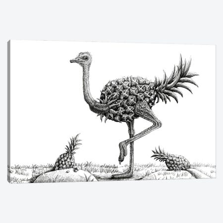Pineapple Ostrich Canvas Print #TAK60} by Tim Andraka Art Print