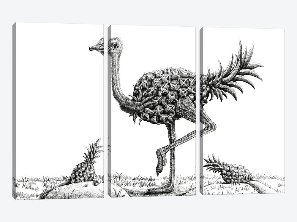 Pineapple Ostrich by Tim Andraka 3-piece Art Print