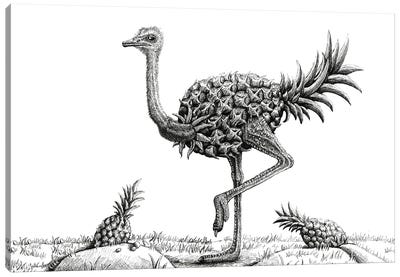 Pineapple Ostrich Canvas Art Print - Ostrich Art