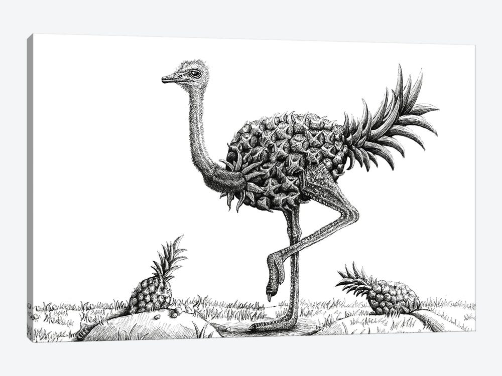 Pineapple Ostrich by Tim Andraka 1-piece Canvas Print