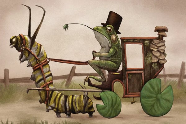 Reptiles & Amphibians: Pond Stroll by Tim Andraka