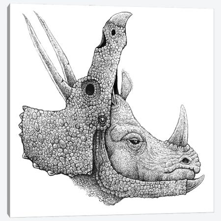 Rhino Disguise Canvas Print #TAK69} by Tim Andraka Canvas Print