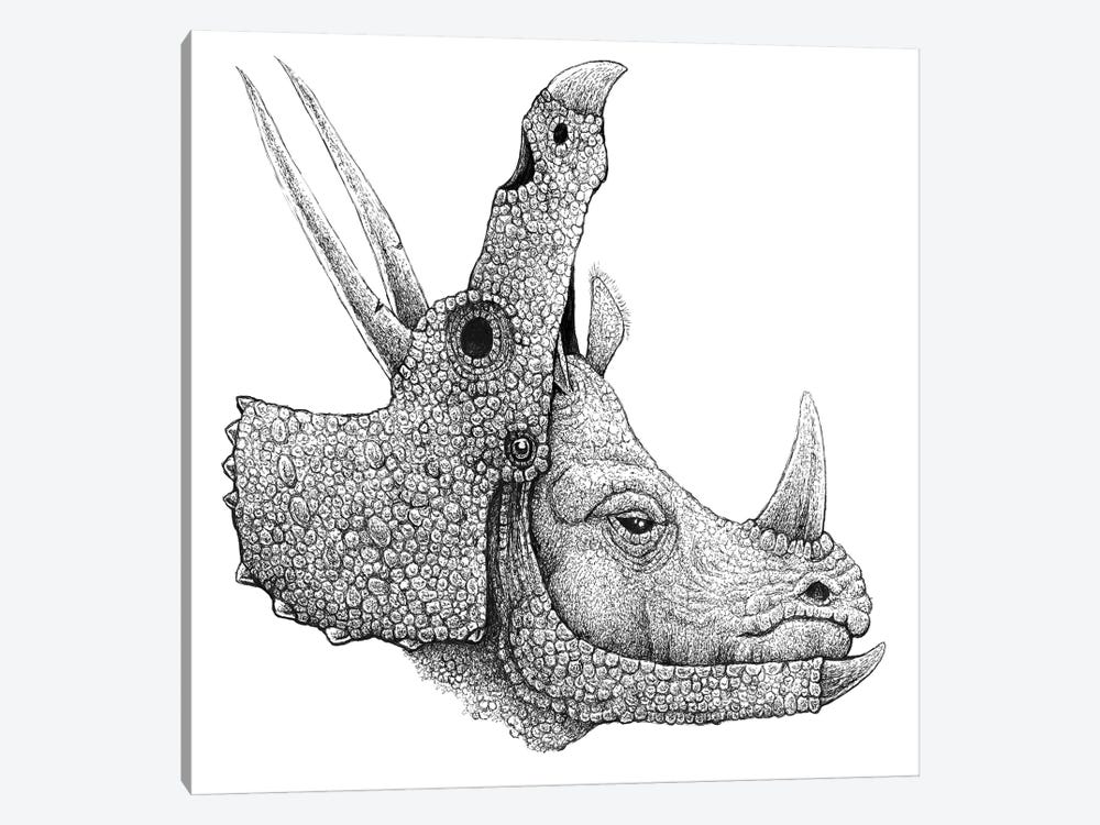 Rhino Disguise by Tim Andraka 1-piece Canvas Art