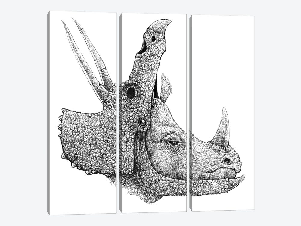 Rhino Disguise by Tim Andraka 3-piece Canvas Artwork