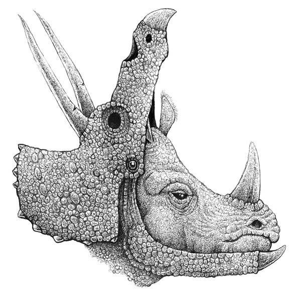 Prehistoric Animals: Rhino Disguise by Tim Andraka