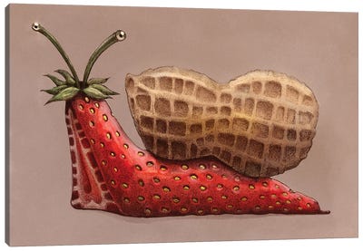 Sandwich Snail Canvas Art Print - Berry Art