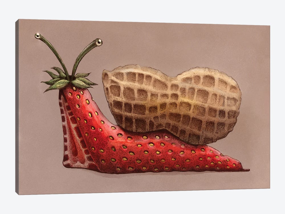 Sandwich Snail by Tim Andraka 1-piece Canvas Artwork