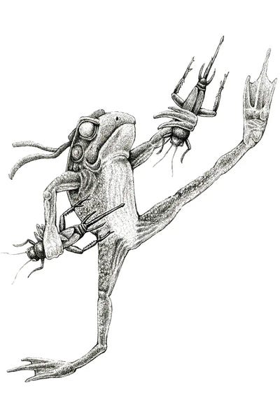 Beetles: Frog Warrior by Tim Andraka