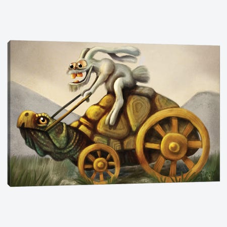 Slow And Steady Canvas Print #TAK80} by Tim Andraka Canvas Art Print