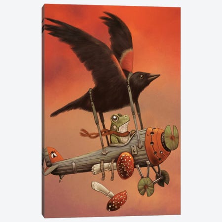 The Red-Winged Baron Canvas Print #TAK85} by Tim Andraka Canvas Art