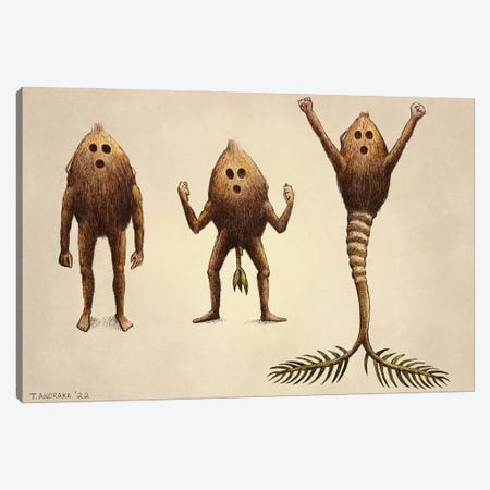 Coconut Transformation Canvas Print #TAK8} by Tim Andraka Canvas Print