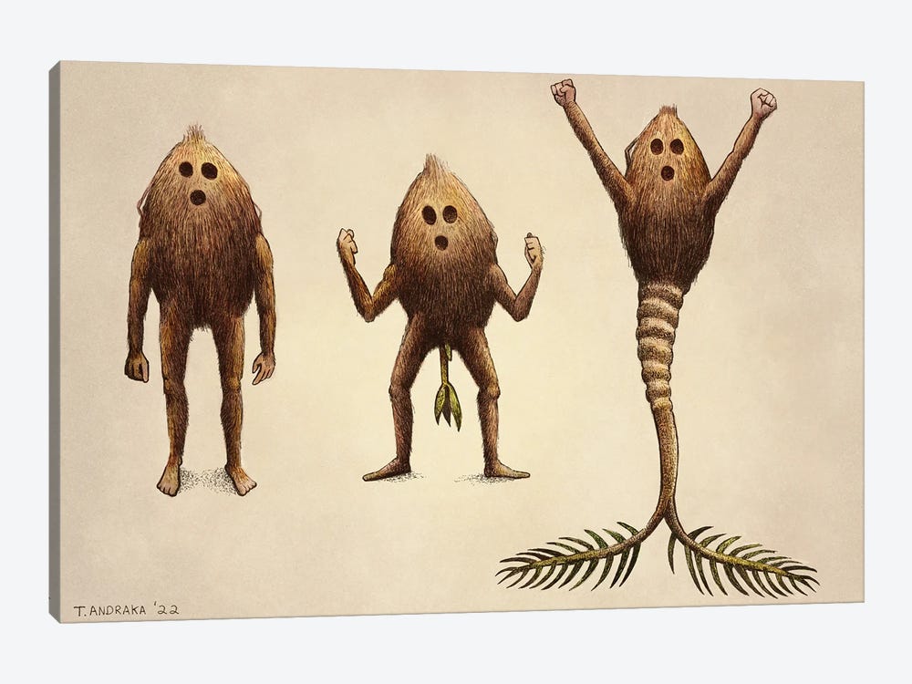 Coconut Transformation by Tim Andraka 1-piece Canvas Art Print