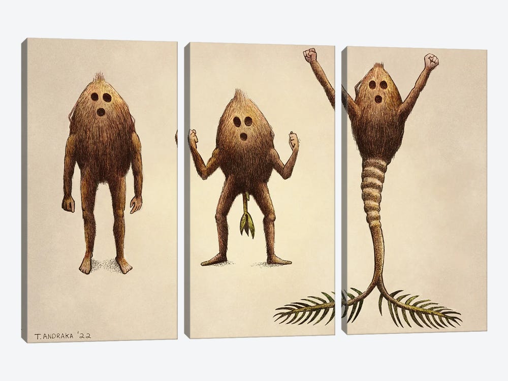 Coconut Transformation by Tim Andraka 3-piece Art Print