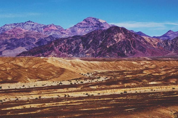 Taylor Allen: Death Valley by Taylor Allen